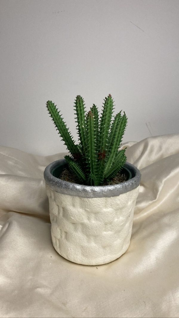Suculenta artificial