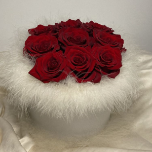 Caixa 9 rosas vermelhas