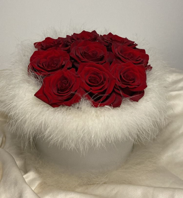 Caixa 9 rosas vermelhas