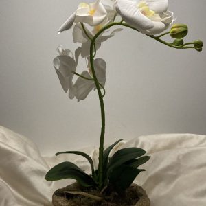 Orquídia artificial 2