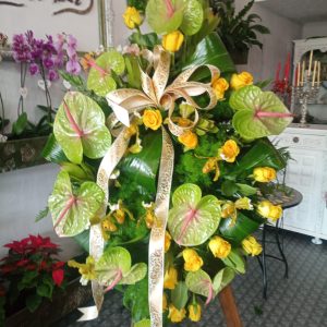 Coroa